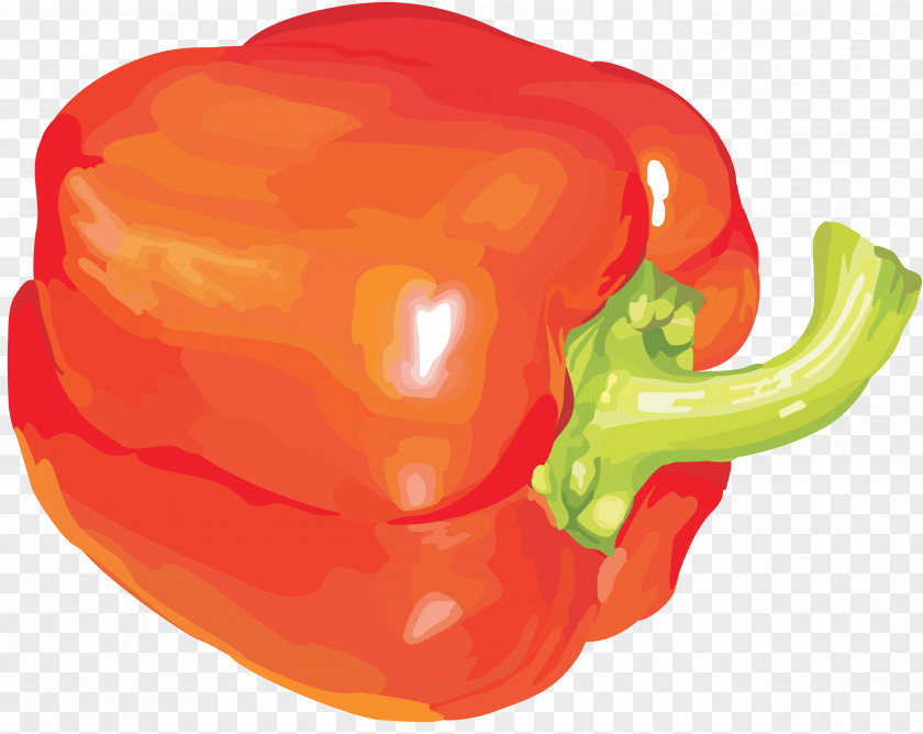 Pepper Bell Cauliflower Vegetable Clip Art PNG