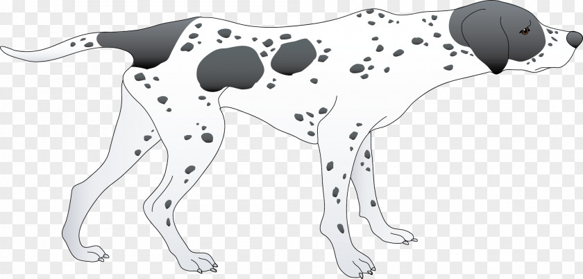 3d Dog Dalmatian Paw Cat Non-sporting Group Clip Art PNG
