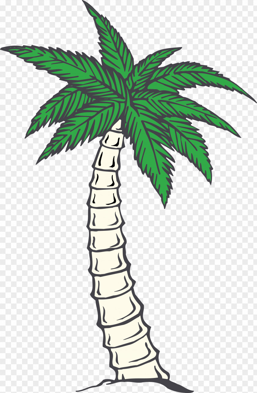 Coconut Palm Trees Nata De Coco Image GIF PNG