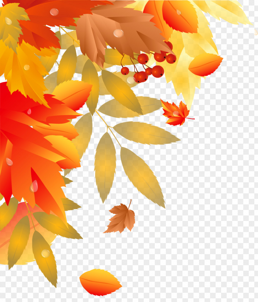 Fall Desktop Wallpaper Download Clip Art PNG