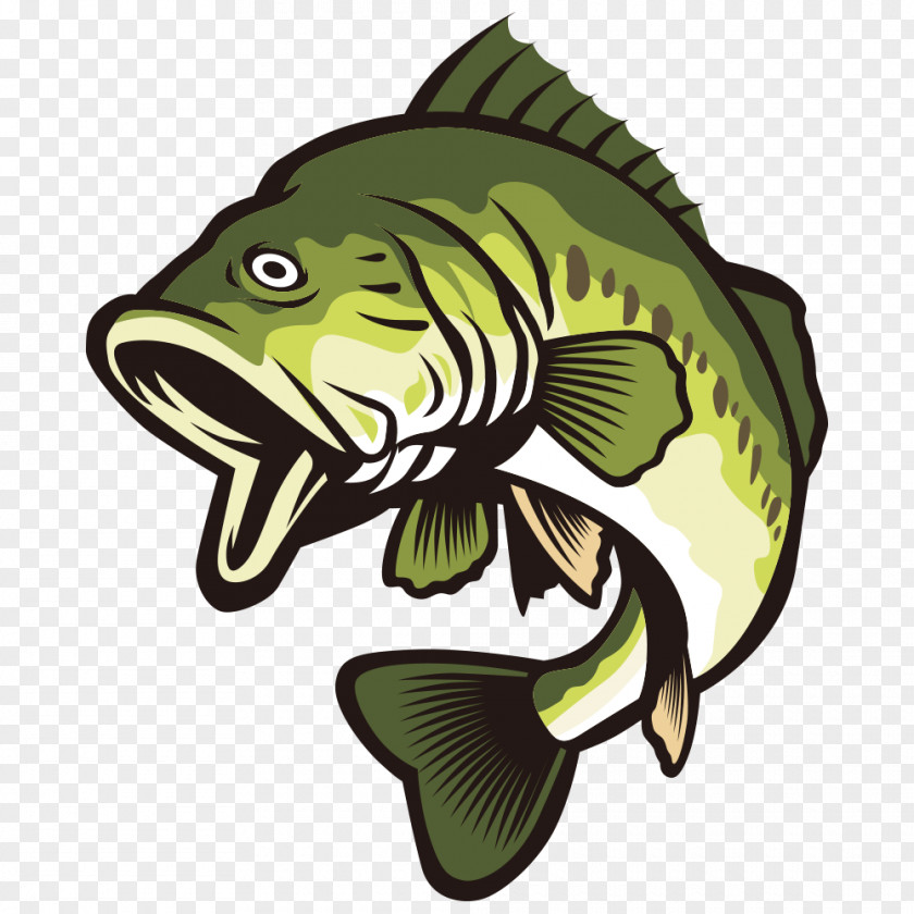 Open Your Mouth And Green Fish Largemouth Bass Clip Art PNG