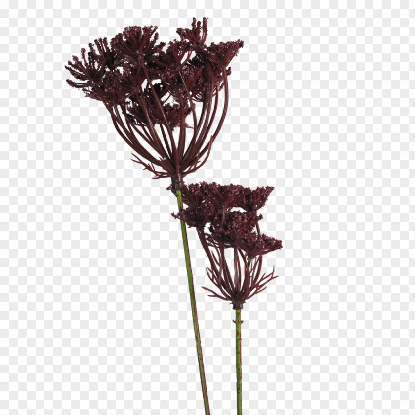 Parsley Artificial Flower Red Deer Plant Cut Flowers PNG