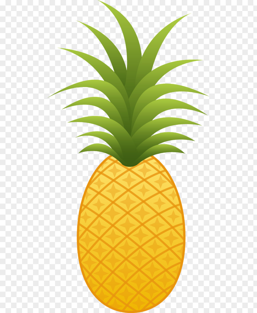 Pineapple Clip Art Openclipart Desktop Wallpaper PNG