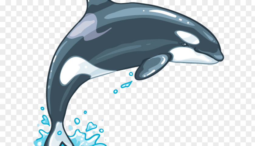 Wholphin Porpoise Whale Cartoon PNG