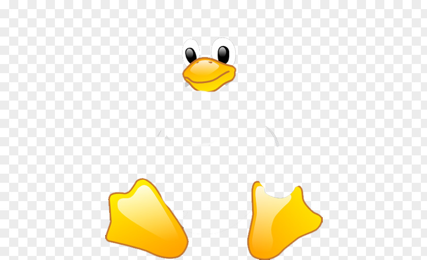 Duck Beak Clip Art PNG