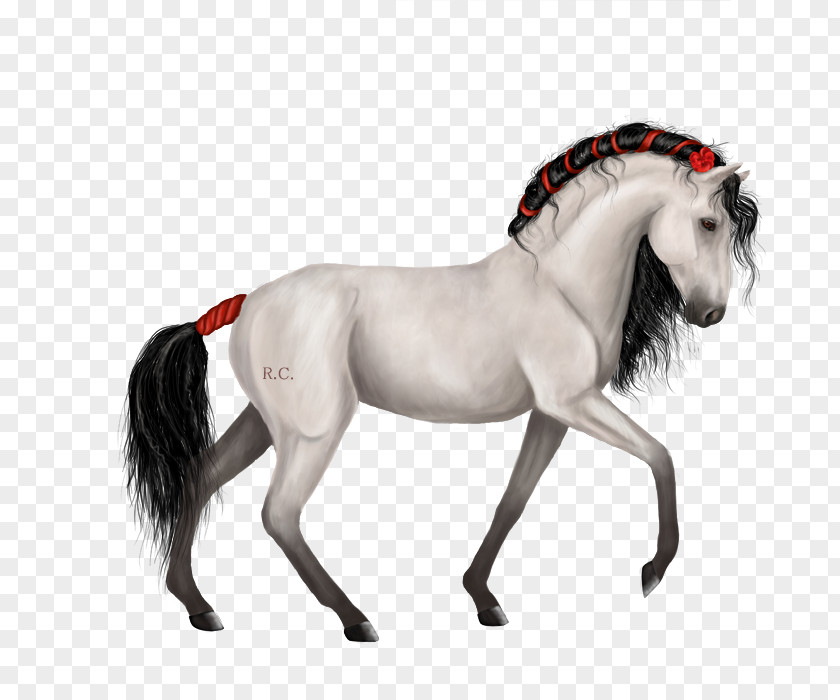 Halter Mustang Stallion Bridle Drawing PNG