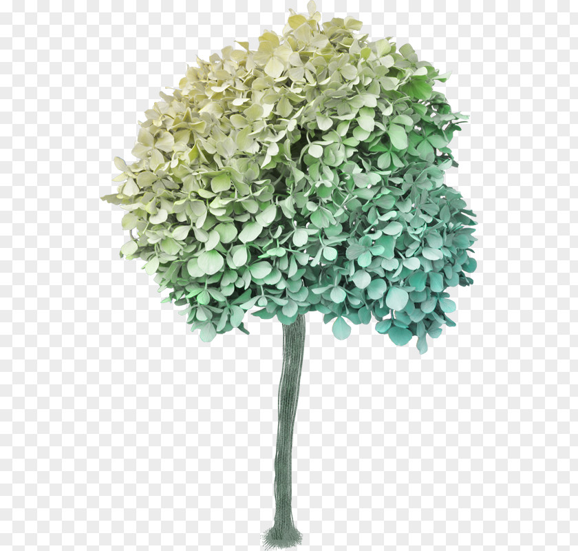 Hydrangea 3D Computer Graphics Clip Art PNG