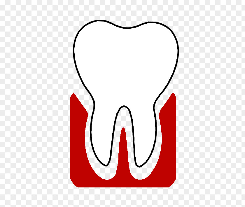 Mikros Tooth Pediatric Dentistry Periodontology PNG