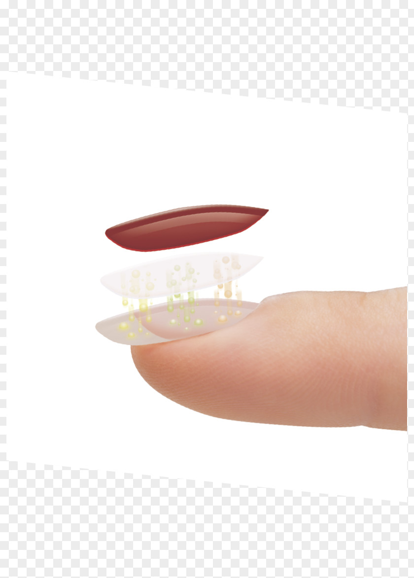 Nail Hand Model PNG