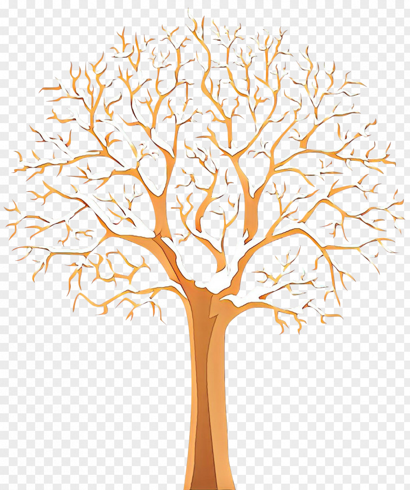 Plane Plant Stem Tree Trunk Drawing PNG