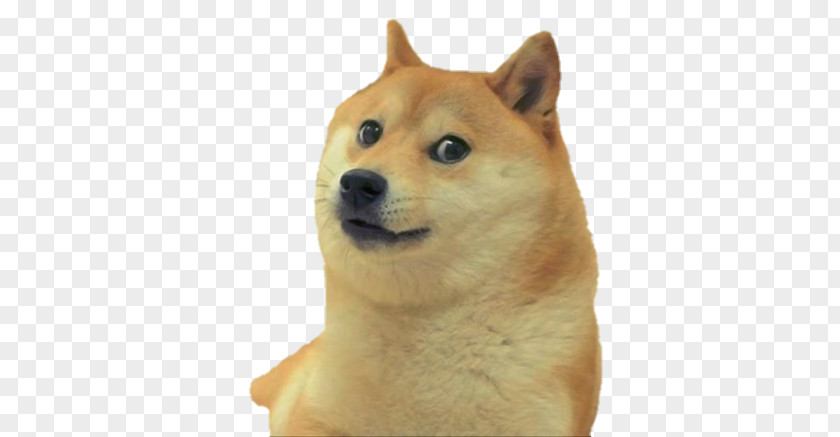 Shiba Inu Dogecoin Imgur PNG