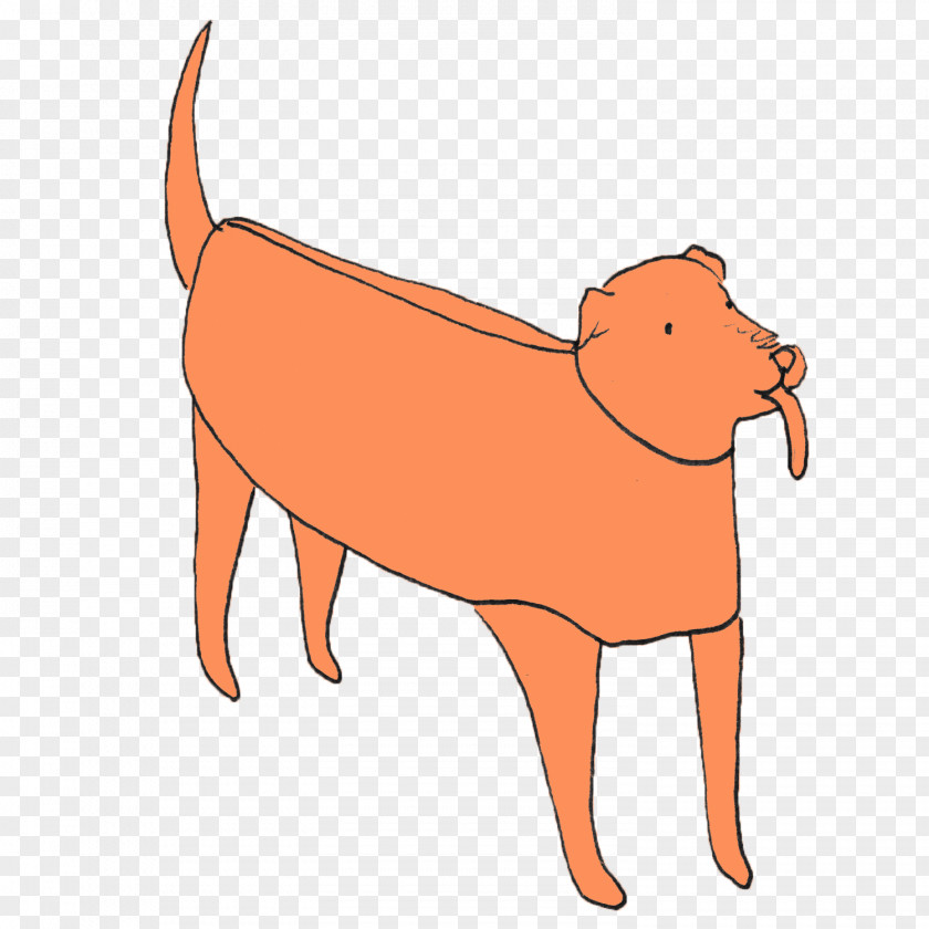 Dog Breed Puppy Drawing Illustration PNG