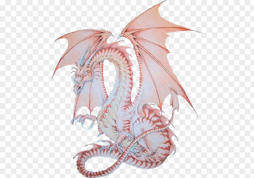 Dragon Griffin Fantasy Legendary Creature Mythology PNG