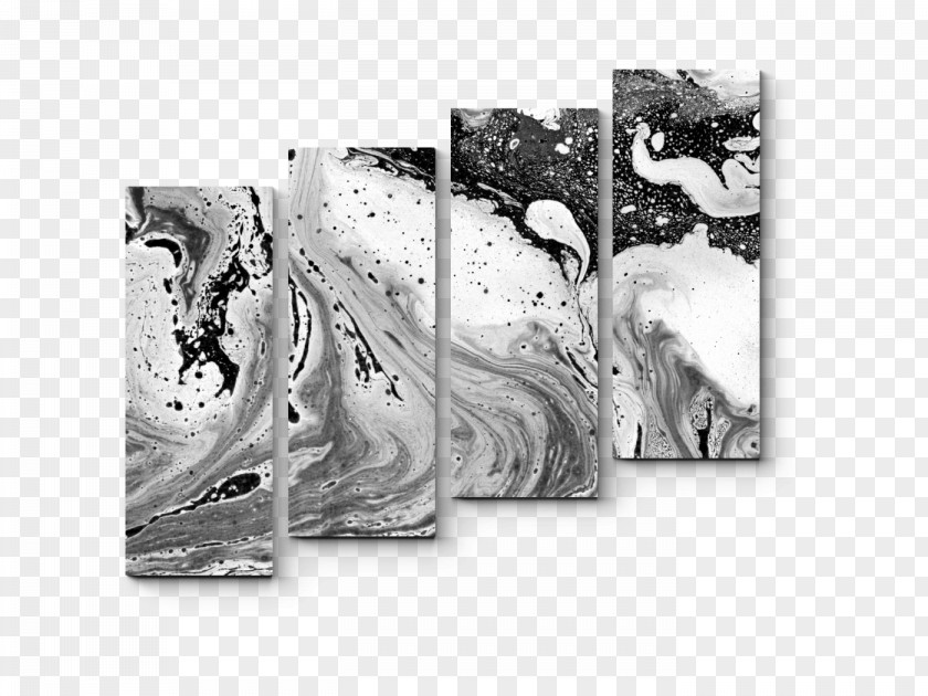 Exquisite Color Feather Black And White Watercolor Painting Wallpaper PNG