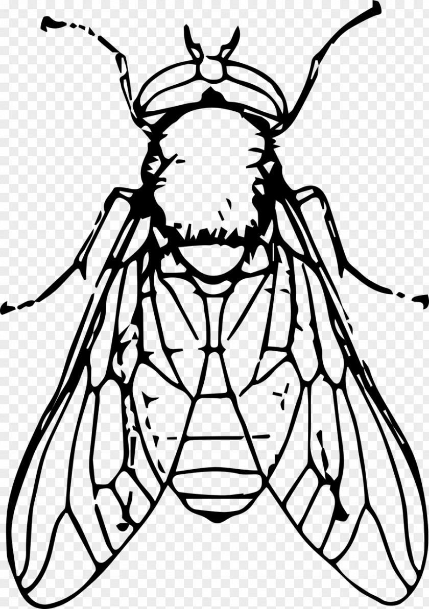 Fly Black And White Drawing Clip Art PNG