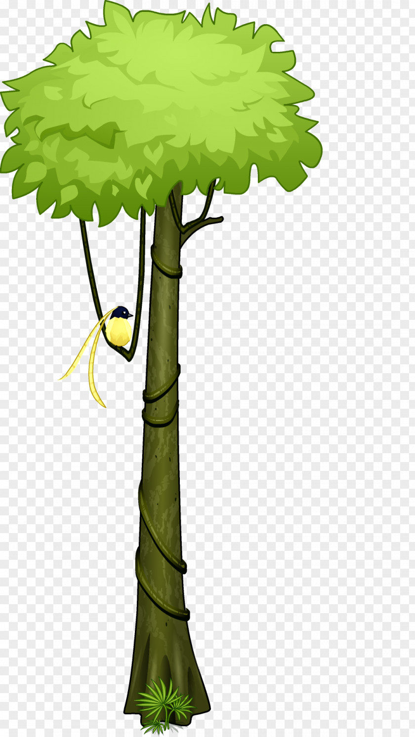 Forest Amazon Rainforest Tropical Tree Clip Art PNG