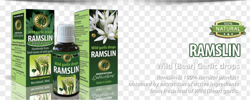 Garlic Blood Pressure Ramsons Alliin Bacteria Liver PNG