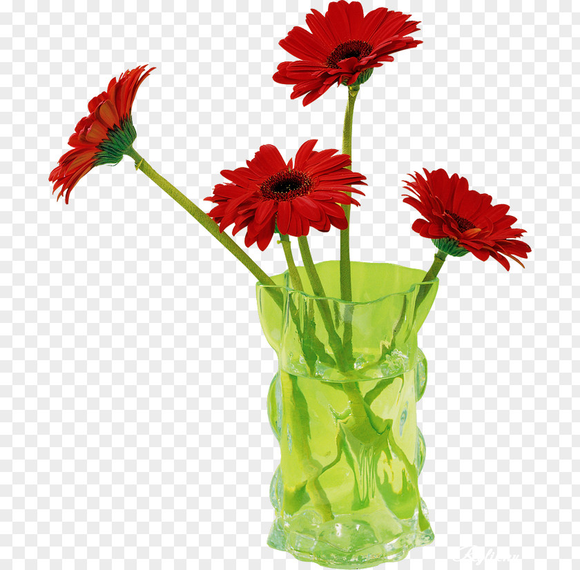Gerbera Cut Flowers Transvaal Daisy Floral Design Clip Art PNG