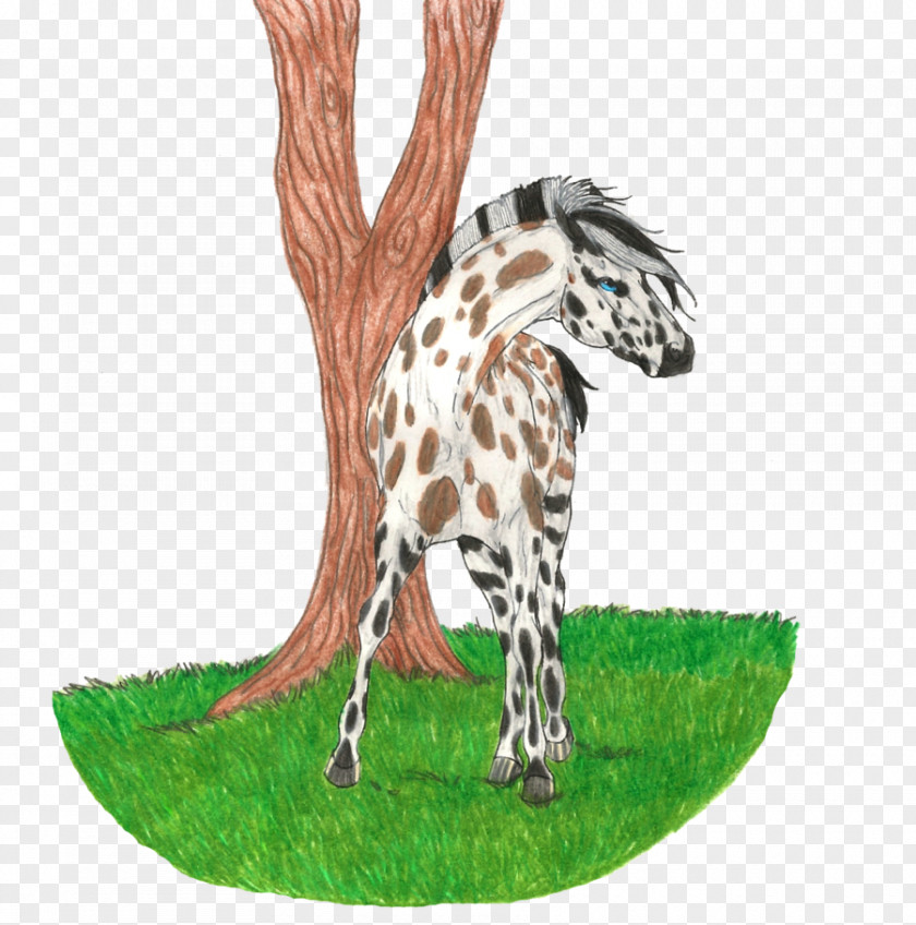 Giraffe Terrestrial Animal Wildlife Tree PNG
