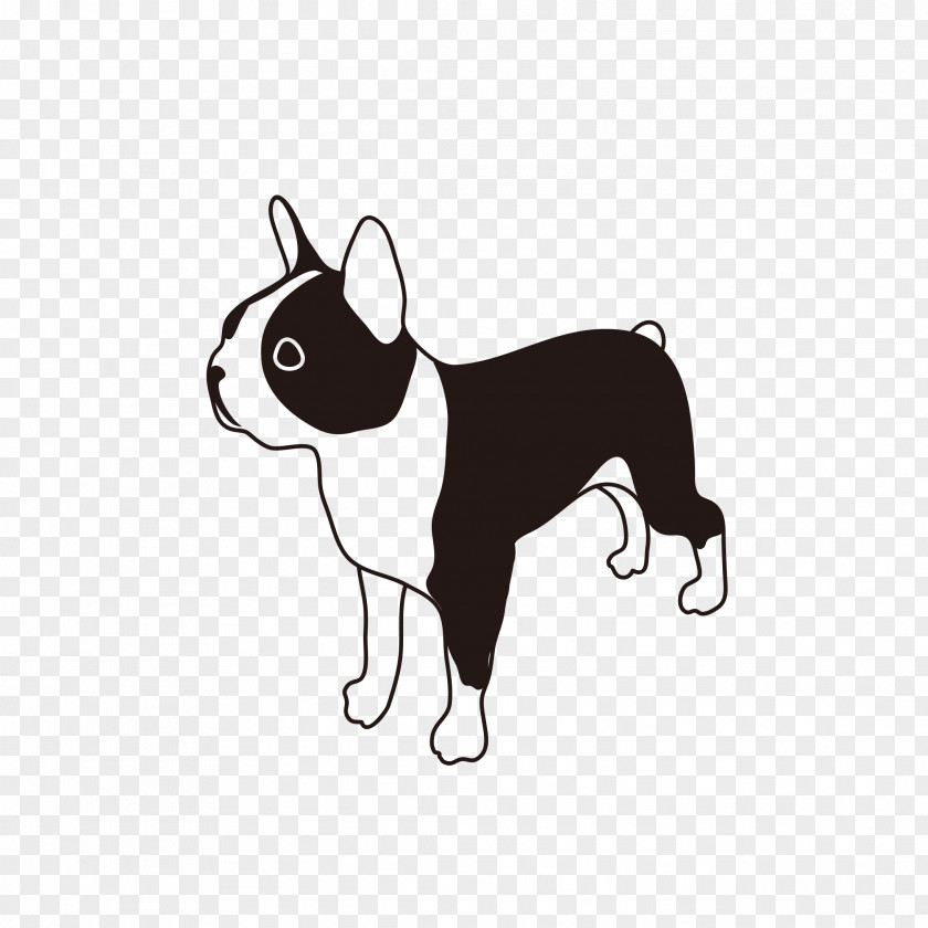 Puppy Boston Terrier Dog Breed French Bulldog PNG