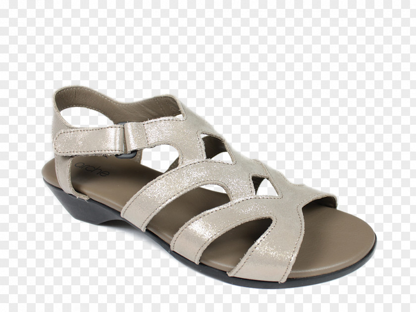 Sandal Slide Shoe PNG