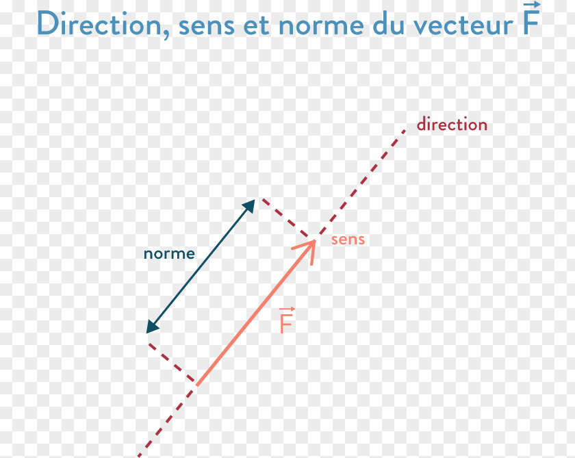 Fleche Sens Line Product Design Point Angle PNG