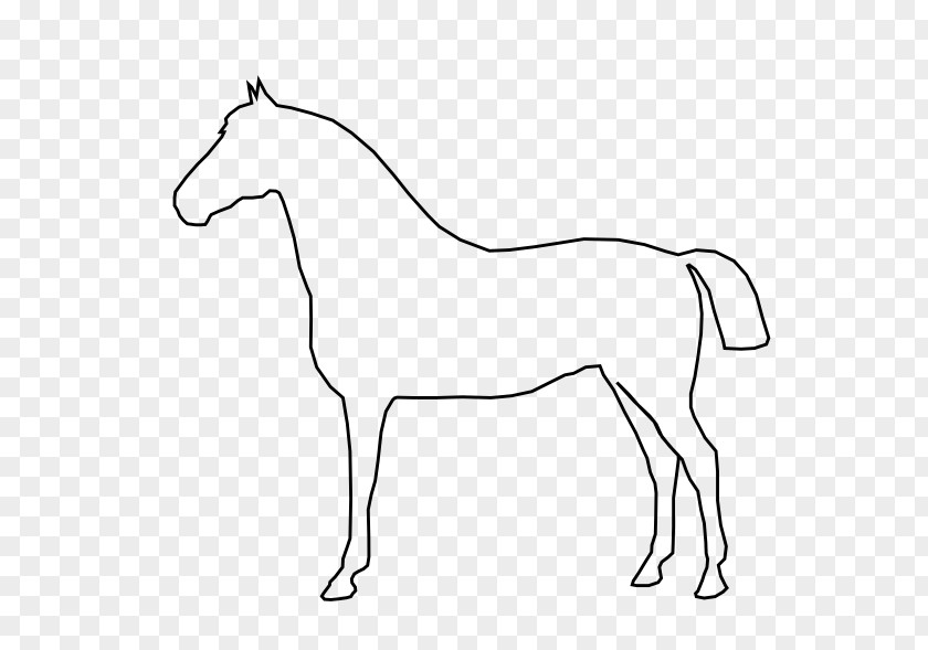Horse Foal Stallion Clip Art PNG