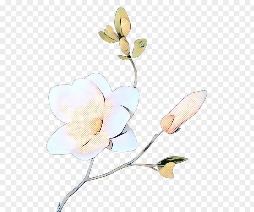 Magnolia Market Cut Flowers Plant Stem Moth Orchids PNG