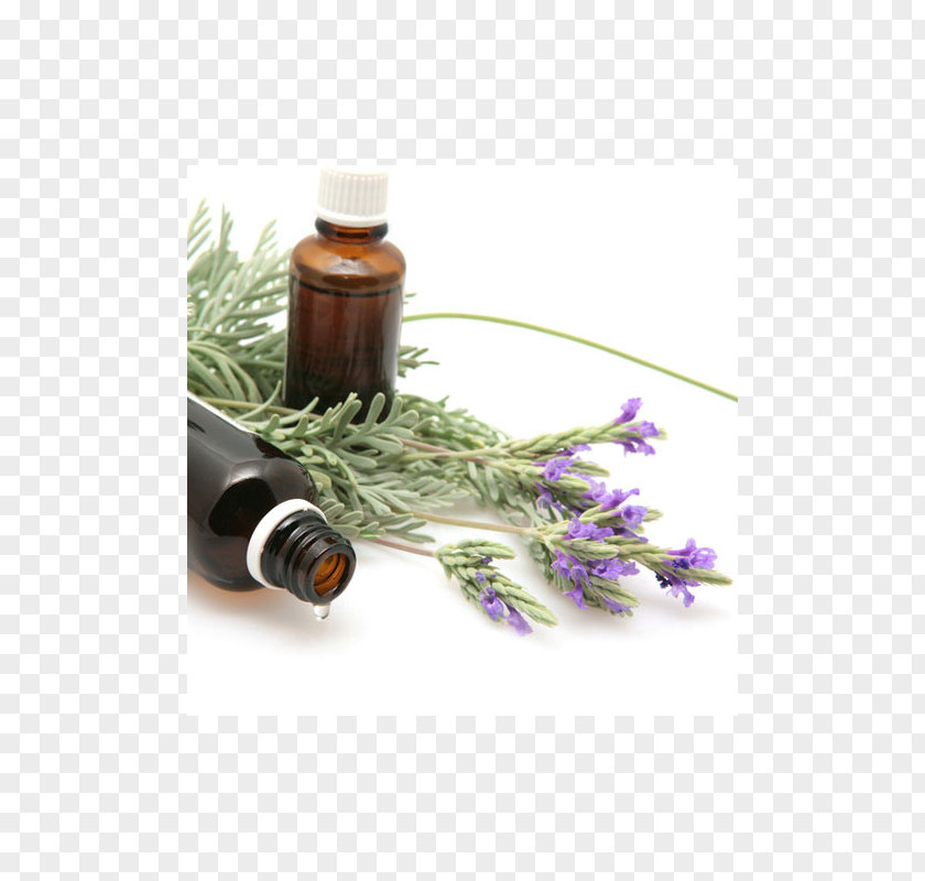 Oil Lavender Essential Fragrance PNG