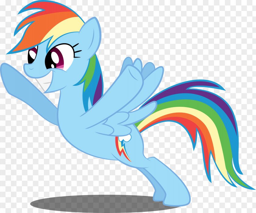 Rainbow Dash My Little Pony PNG