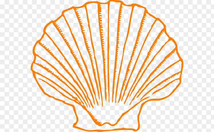 Seashell Clip Art Mollusc Shell Image Openclipart PNG