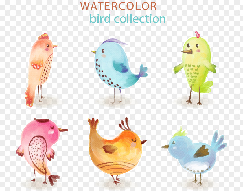 6 Water Painted Bird Cat Adobe Illustrator Euclidean Vector PNG
