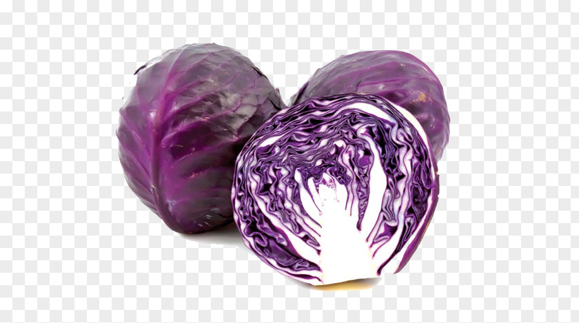 Cabbage Red Violet Vietnam Vegetable PNG