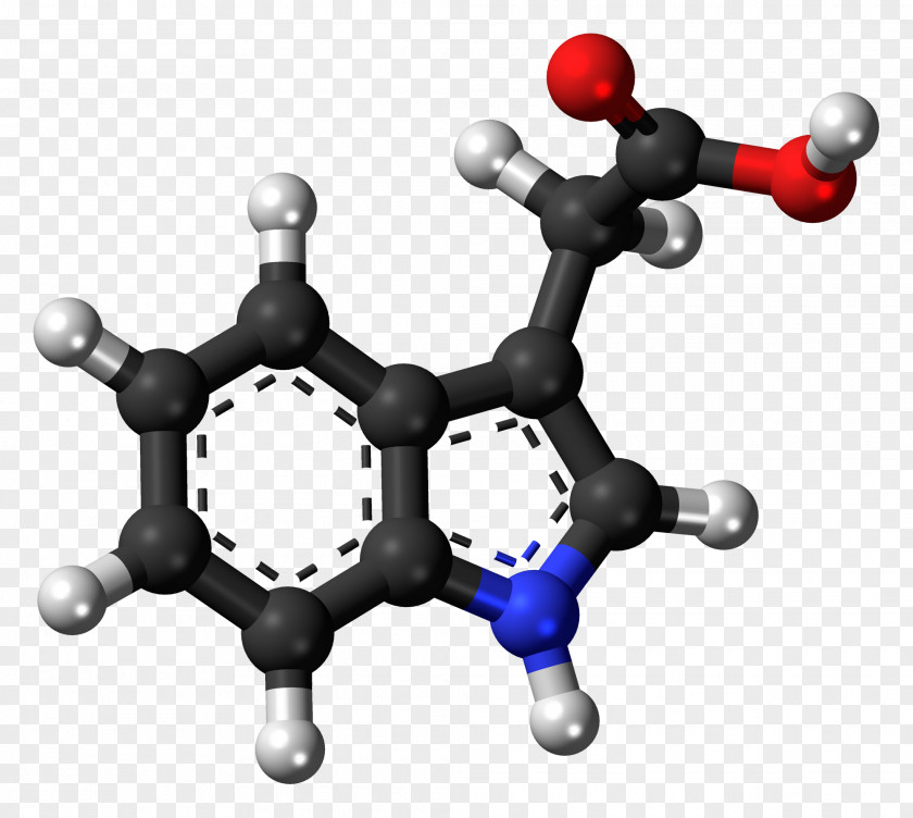 Colorless Psilocybin Mushroom Hallucinogen Psychedelic Drug Psilocin PNG