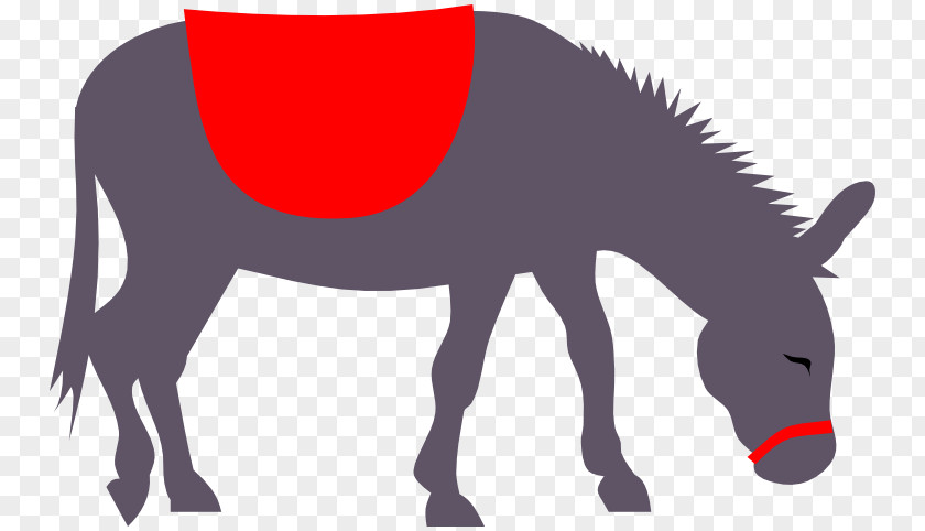 Donkey Rides Horse Clip Art PNG