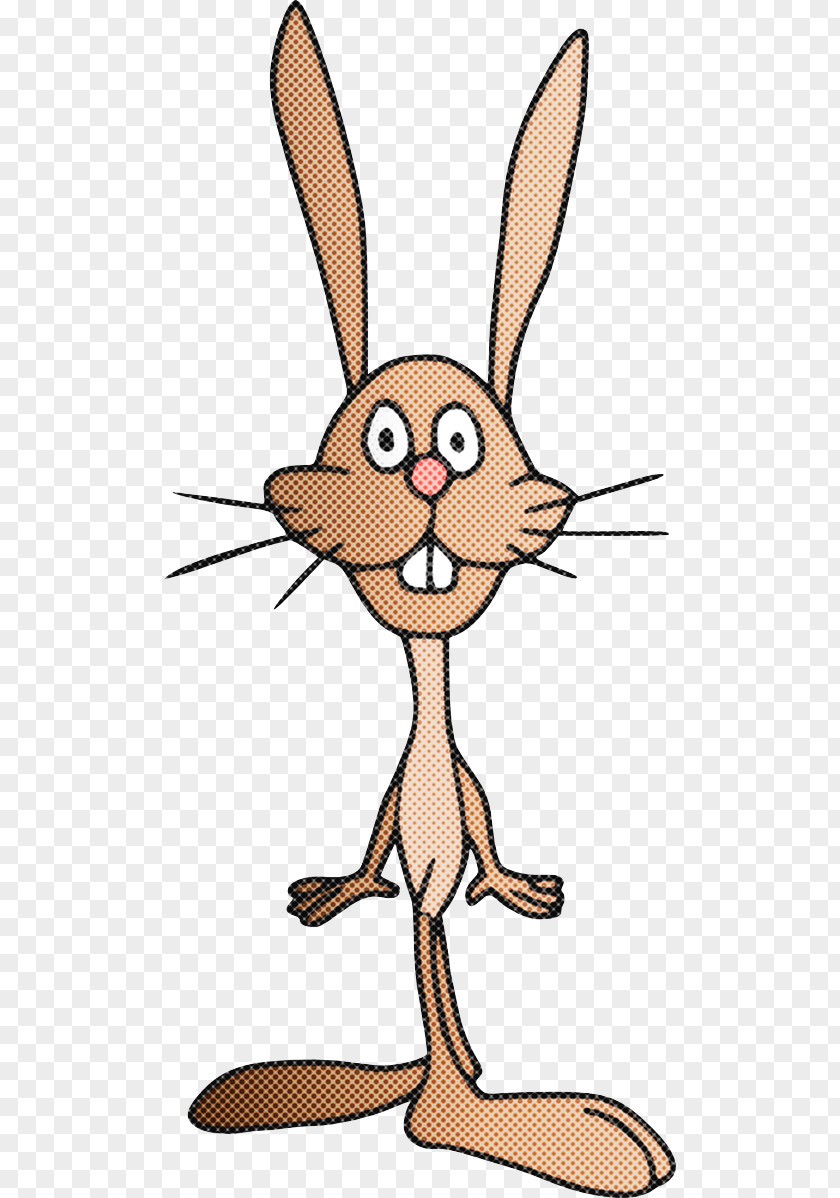 Rabbits And Hares Tail Cartoon Whiskers Nose Line Snout PNG