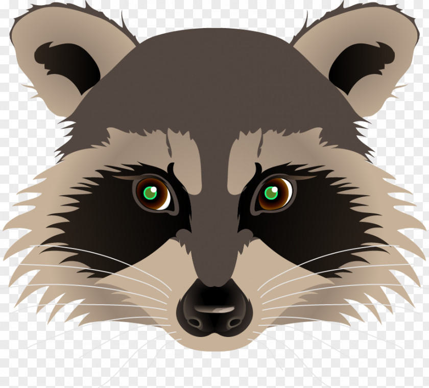 Raccoon Drawing Painting Clip Art PNG
