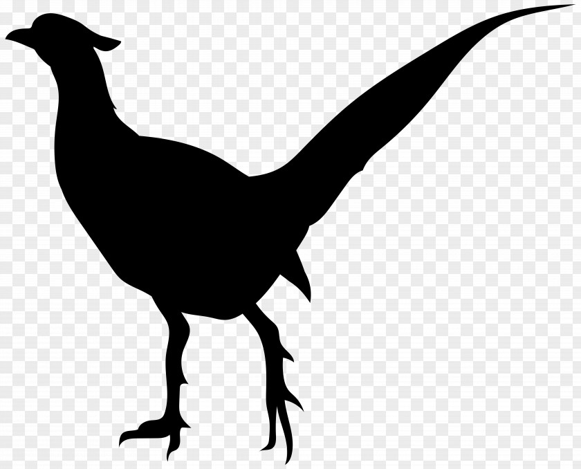 Birds Silhouette Bird Clip Art PNG