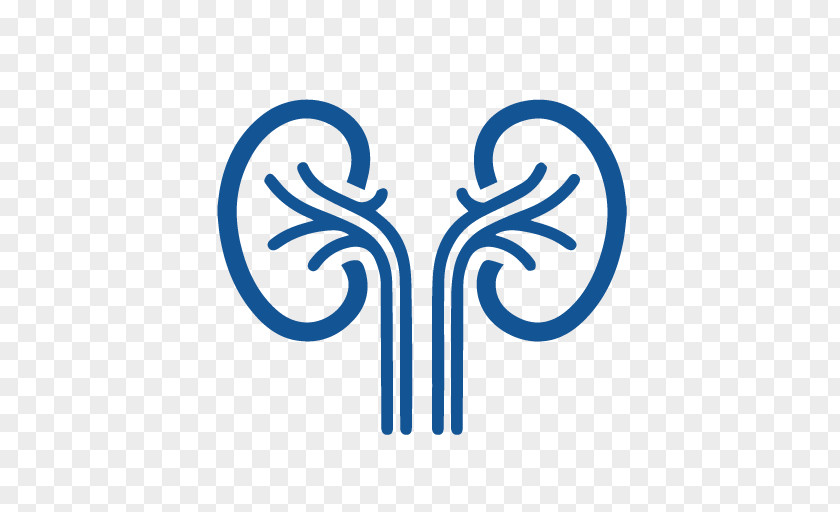 Cassino Design Element Urology Medicine Nauro Kidney Speciality Clinic Specialty PNG