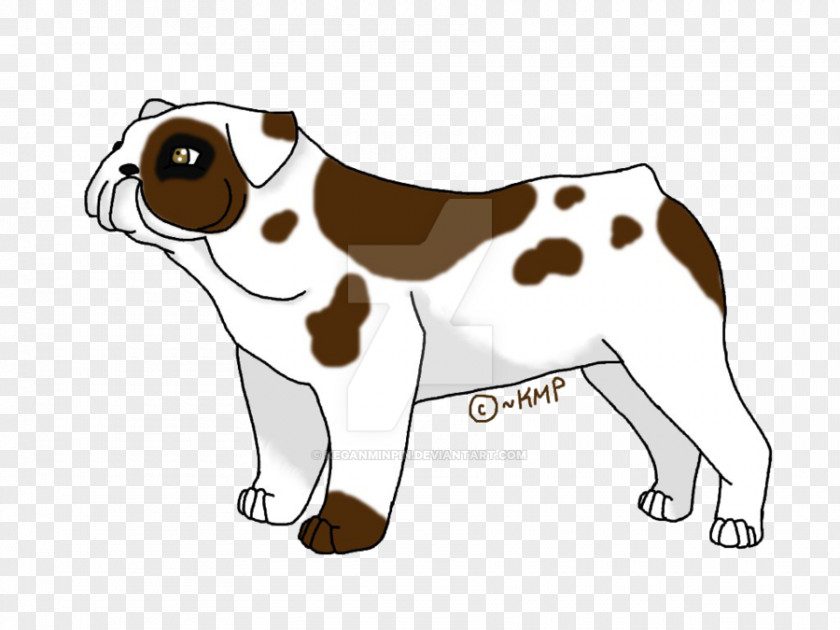 English Bulldog Dog Breed Beagle Puppy Companion Clip Art PNG