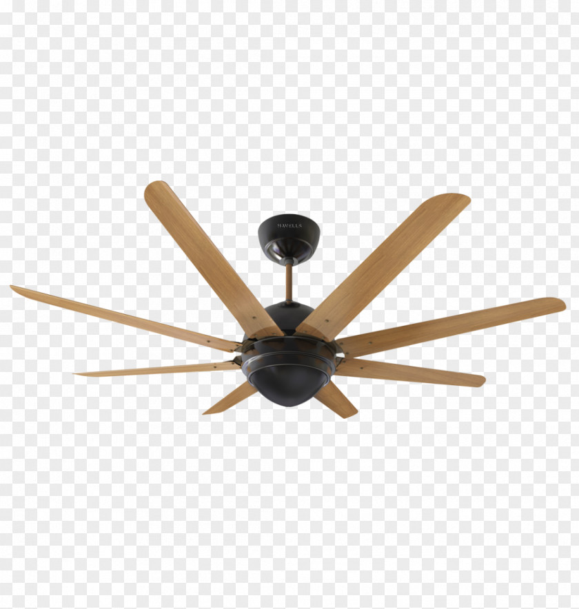 Fan Ceiling Fans Lighting Havells PNG