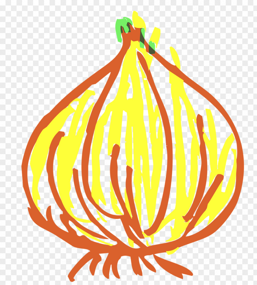 Onion Clip Art PNG
