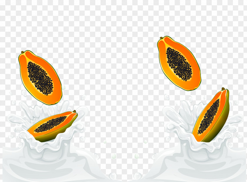 Vector Fall In Milk Papaya U6728u74dcu725bu4e73 PNG