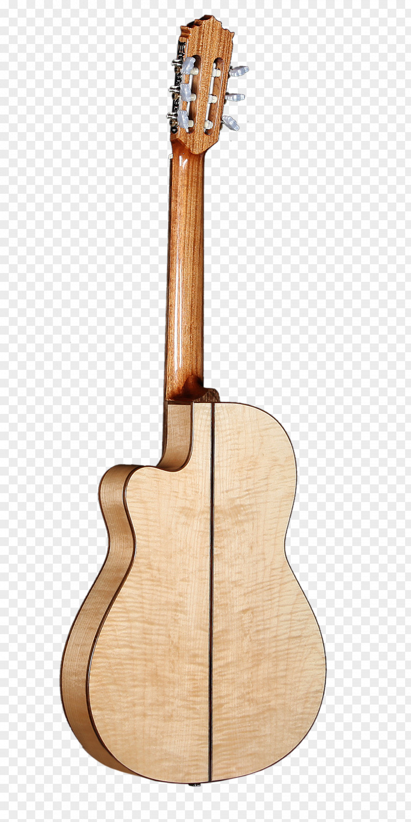 Acoustic Guitar Tiple Cuatro Cavaquinho Acoustic-electric PNG