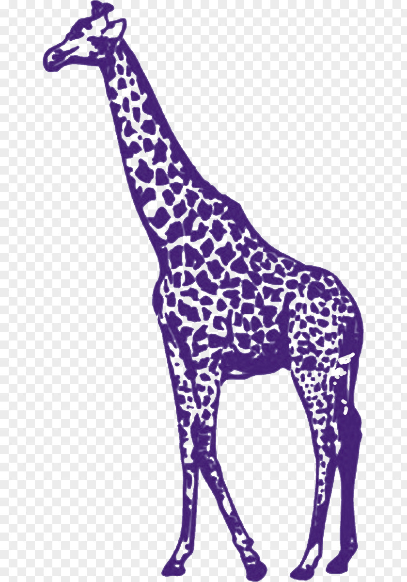 Creative Advertising Purple Giraffe Stencil YouTube Clip Art PNG