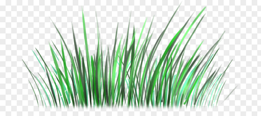 Love The Natural Environment Green Grasses Line PNG