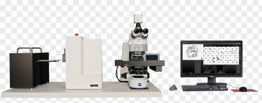 Microscope Optical Instrument Pathology Cytogenetics Chromosome PNG