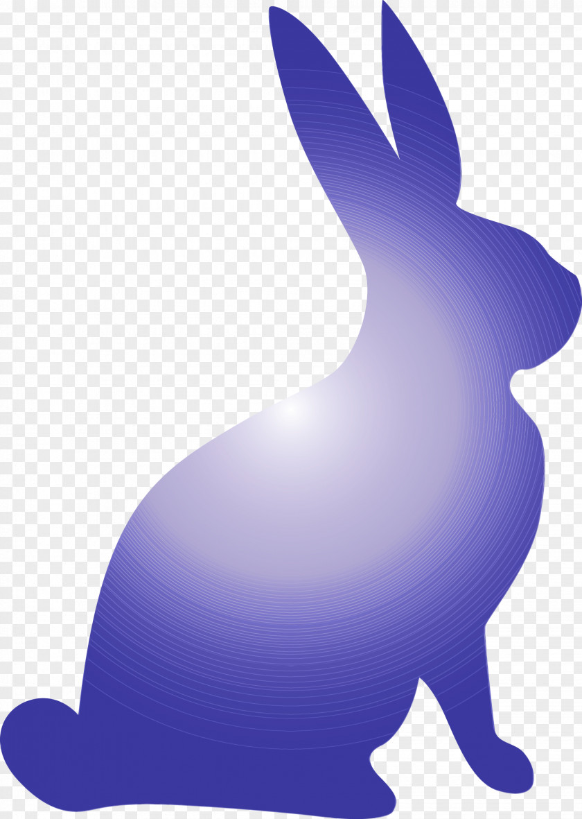 Rabbit Rabbits And Hares Hare Arctic Tail PNG