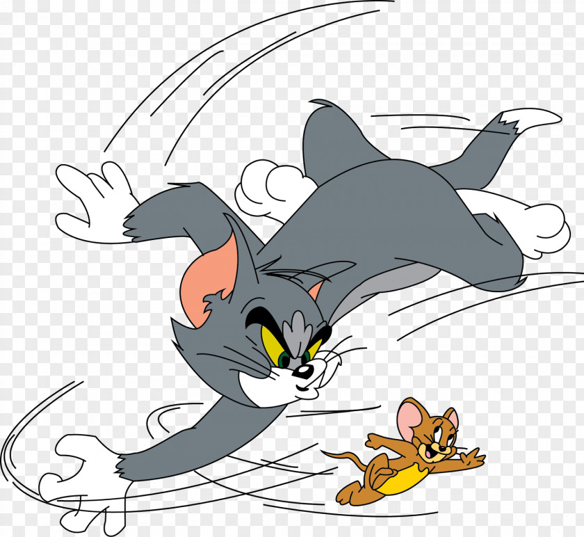 Tom & Jerry Cat And Cartoon Drawing PNG
