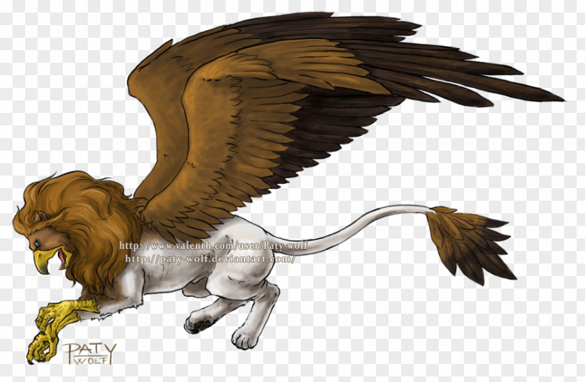 Griffin Gray Wolf Lion Drawing Legendary Creature PNG
